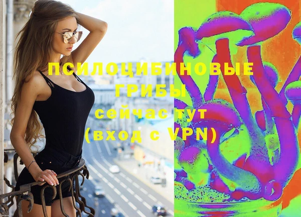 герыч Пестово