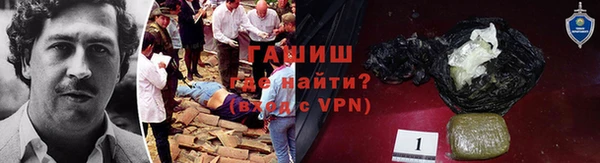 прущие грибы Осинники