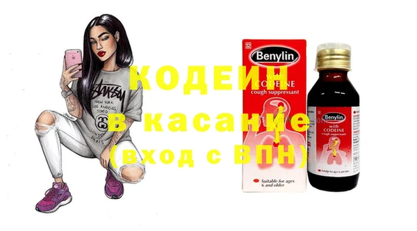 прущие грибы Осинники