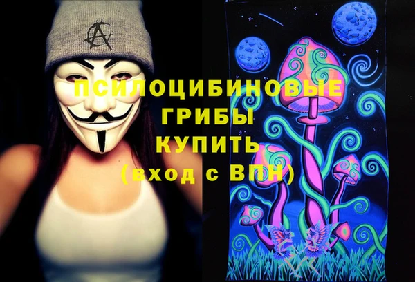 прущие грибы Осинники