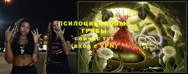 герыч Пестово