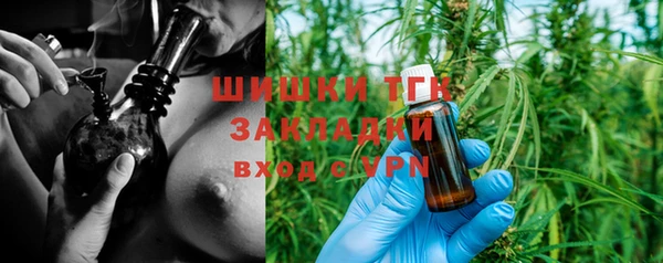 прущие грибы Осинники