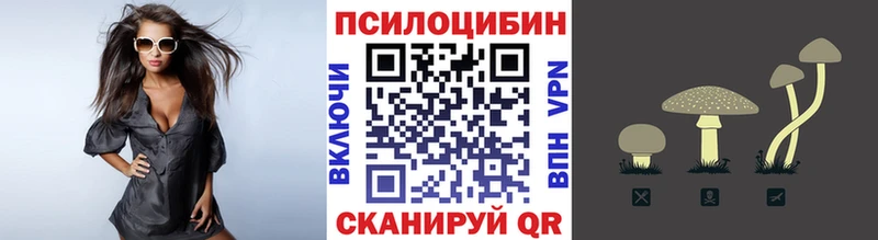 omg tor  Любань  Псилоцибиновые грибы мицелий 